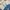 Corduroy Jacket collar sherpa anak blue denim cakep photo 2