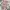 Corduroy x quilted Jacket anak New Balance revesible pink photo 7