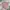 Corduroy x quilted Jacket anak New Balance revesible pink photo 6