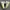 CONVERSE CHUCK TAYLOR photo 3