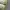 CONVERSE CHUCK TAYLOR photo 5