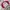 Varsity vintage Jacket ucla bruins all star pink cakep photo 1