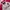 Varsity vintage Jacket ucla bruins all star pink cakep photo 2