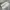 Baggy Pants Broken White by Flat Accent Selvedge photo 2