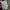 Hugo Boss Casual Leather Jacket Goat Skin Kulit Kambing Sued photo 7