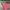 MLB Streetwear Sportswear Hoody Pria Red