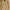 Carhartt Luxury Hoody Pria Tan Brown