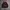 Japanese Brand Vintage Sweater Pria Burgundy
