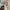 Black clover volume 3 photo 1