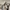 Tas Bahu Selempang Wanita Korean Vintage Style Shoulder Bag  photo 3