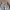 Baggy Sweatpants Sherpa Stripes Blue photo 6
