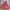 Mini Dress Anak Pesta Pendek Tanpa Lengan Tali Satu Overall 