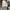 Vintage Y2K T-shirt Pria white navy cream photo 4