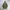 Jacket Tommy Hilfiger Parka