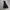 Jacket Parka Timberland photo 2