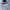 Hoodie NIKE BIG LOGO photo 1