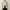 Yves saint laurent Ysl vintage jacket photo 4