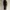 ZARA Minimalist Bodycon dress Wanita black photo 4
