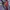 Lonsdale London Windbreaker Jacket Sportswear With Small Log photo 9