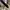 Flat Shoes  photo 5
