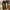 Flat Shoes  photo 1