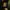 Vest POLER duck canvas photo 10