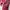 Luxury Prom Dress Wanita Red