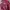 Luxury Prom dress Wanita red photo 3