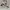 MLB NY Yankees Chunky Liner white black photo 1