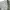 Uniqlo Minimalist Casual Formal shirt Pria white green photo 7
