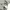 Uniqlo Minimalist Casual Formal shirt Pria white green photo 8