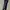 Calvin Klein Big Spell Out Jogger Pants