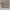 Adidas Ozweego triple white photo 4