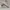Adidas Ozweego triple white photo 1