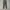 Aape By Bathing Ape Camoflage Jogger Pants photo 6