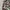 Aape By Bathing Ape Camoflage Jogger Pants photo 4