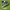 Adidas sl72  photo 1