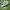 Adidas sl72 France  photo 1