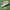 Adidas sl72  photo 1