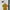 MNG One Piece Suit Trona - Mustard photo 2