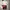 sanrio dear daniel chinese wedding collectable mcdonalds  photo 1