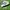 Adidas la trainer  photo 1