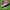 Adidas la trainer  photo 1