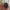 Apple Watch SE Gen 2 44 MM photo 1