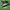 Adidas spezial black  photo 1