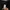 Thisisneverthat Visual Archives photo 9
