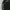 Thisisneverthat Visual Archives photo 3
