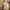 Adidas x Stella McCartney yellow Running Shoes EU39 photo 6