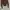 Vivienne Westwood Red Label knit logo orb photo 3