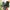Boots Timberland yellow icon Dr martens Clark wallabes jorts photo 1